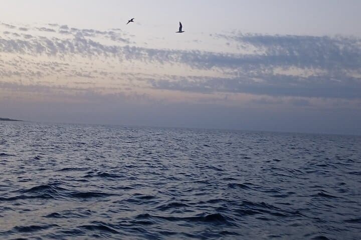 Boat Tour in Polignano a Mare