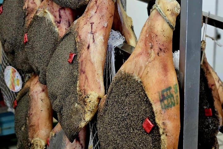 Filling Panigassi della Lunigiana, hyperlocal Ligurian food for fisherman