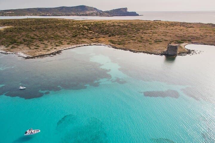 From Stintino: RIB tour in the gulf of Asinara