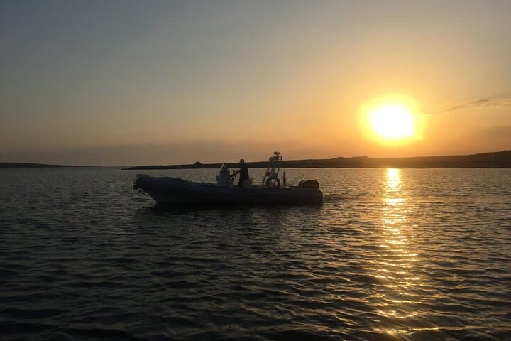 From Stintino: RIB tour in the gulf of Asinara