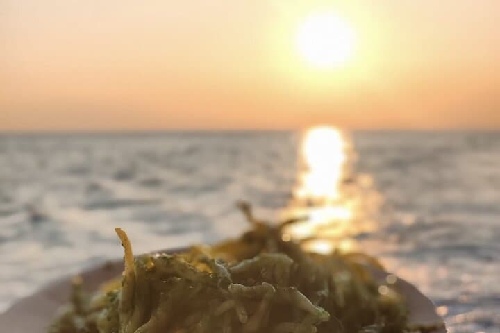 Aperitif on a boat at sunset, Porto Venere and islands