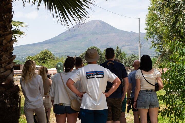 Pompeii Vineyard Escape: Private Wine Tasting & Lunch