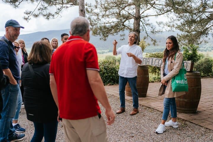 Florence Day Trip: Chianti Wine Tasting, Siena, San Gimignano