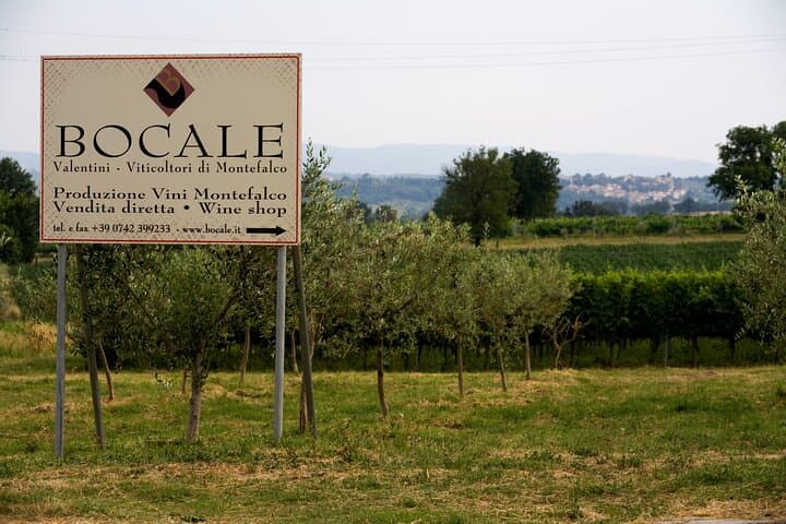 DRINK&FOOD: Private Vineyard and Winery Tour with Tasting
