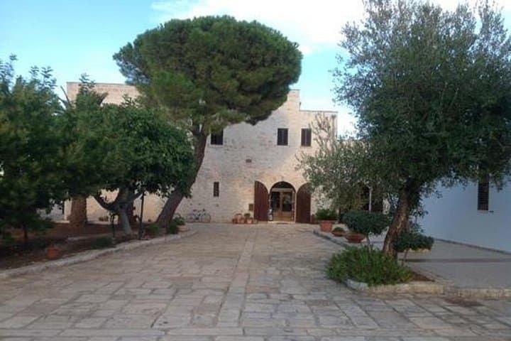 Apulia Olive Oil Tasting