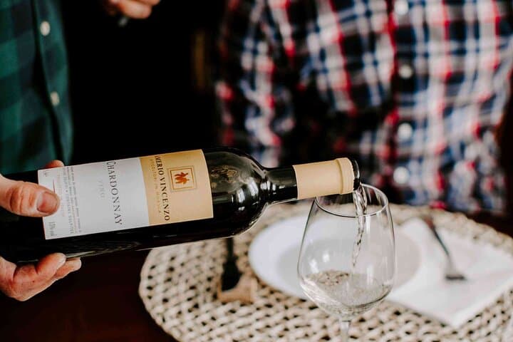 Langhe and Monferrato Wine Tasting with the Producer