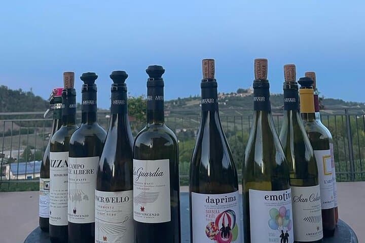 Langhe and Monferrato Wine Tasting with the Producer