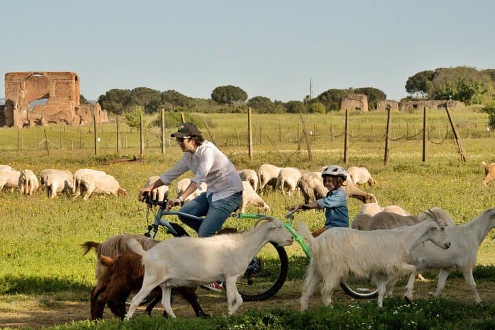 Rome: Appian Way, Aqueducts & Catacombs (Small Group or Private)