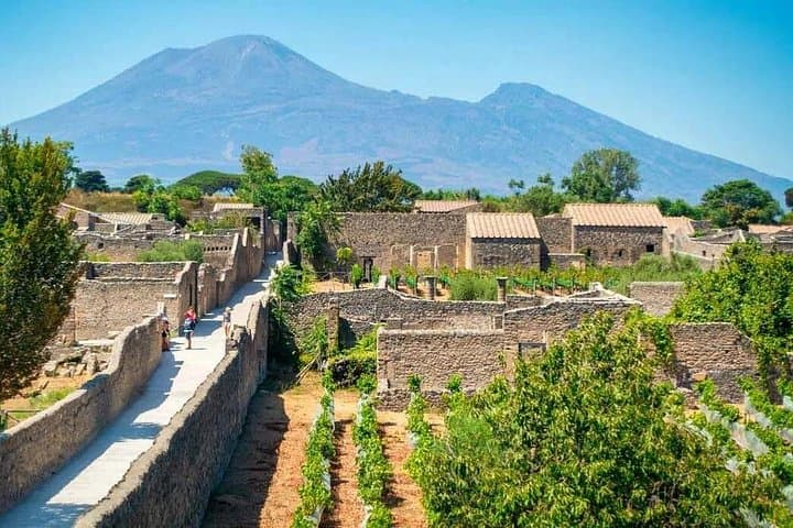From Naples: Half-Day Tour of the Ruins of Pompeii and Vesuvius