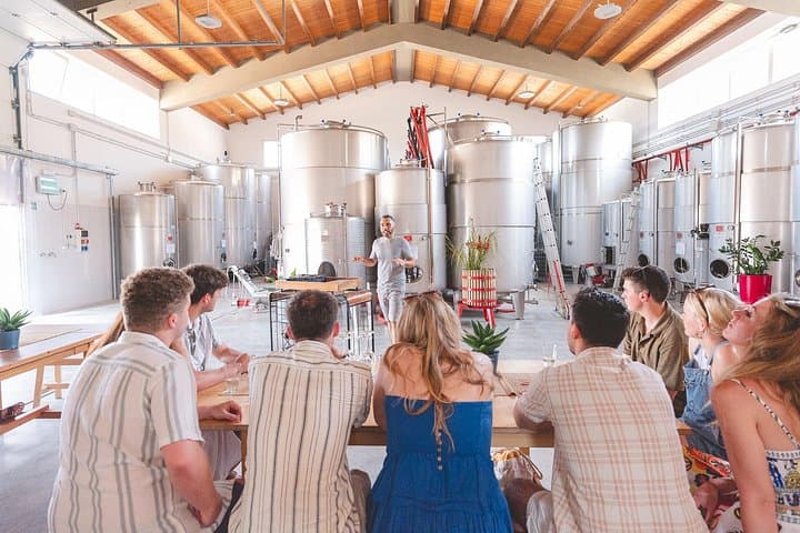 Embark on a Sicilian Wine Journey
