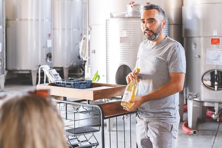 Embark on a Sicilian Wine Journey