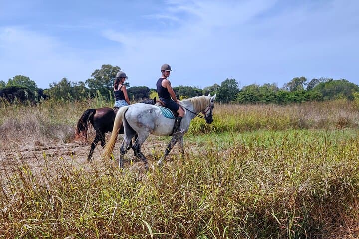 Horse Sanctuary & Trail Ride
