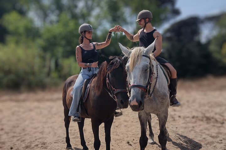 Horse Sanctuary & Trail Ride