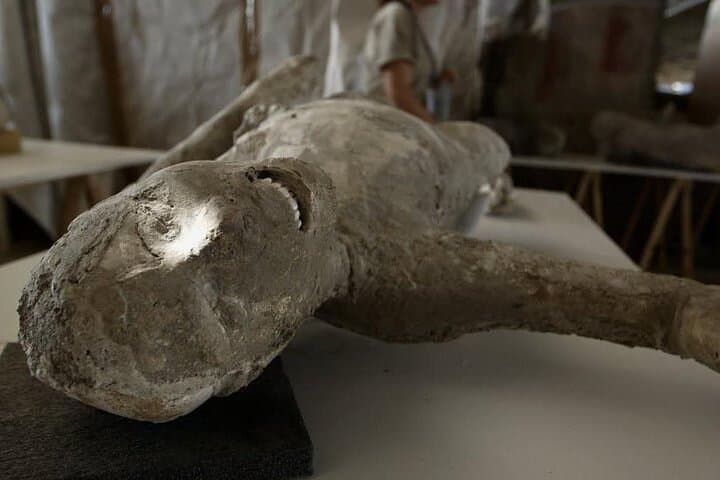 Naples to Sorrento with Pompeii guided tour or Vice Versa