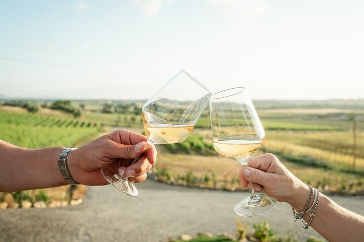 A toast on our vineyards
