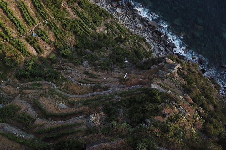 Cinque Terre Private Wine And Views Tour