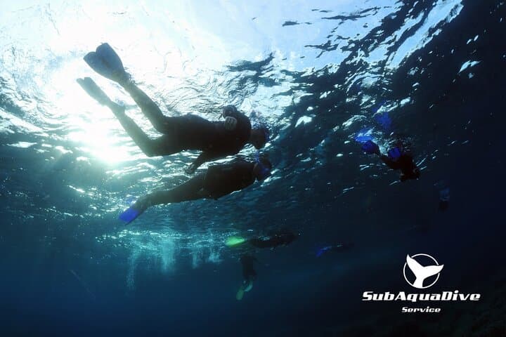 Snorkeling in the Marine Protected Area of Capo Carbonara