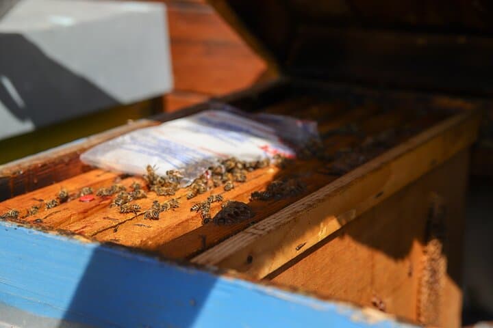 Beekeeping Farm Tour and Tasting Experience in Lazise