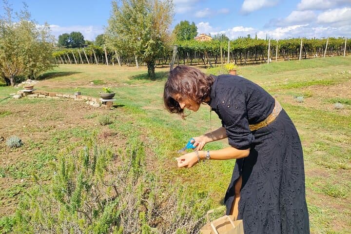 Beekeeping Farm Tour and Tasting Experience in Lazise