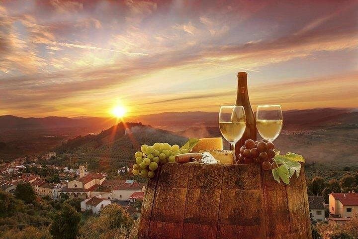 Special Chianti Afternoon Wine Tour from Florence