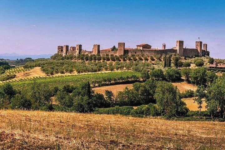 Special Chianti Afternoon Wine Tour from Florence