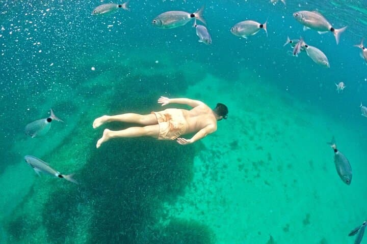 Alghero: snorkeling RIB tour in Porto Conte and Capo Caccia