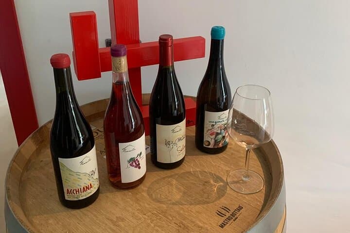 Private Wine Tasting Tour, Taormina and Messina from Messina