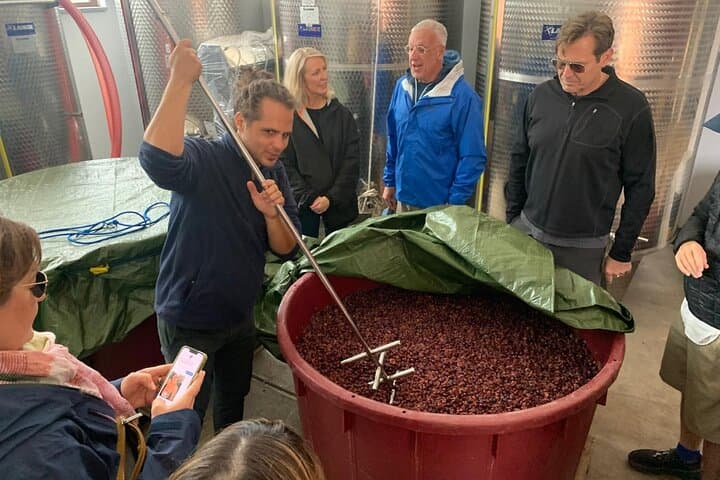 Private Wine Tasting Tour, Taormina and Messina from Messina