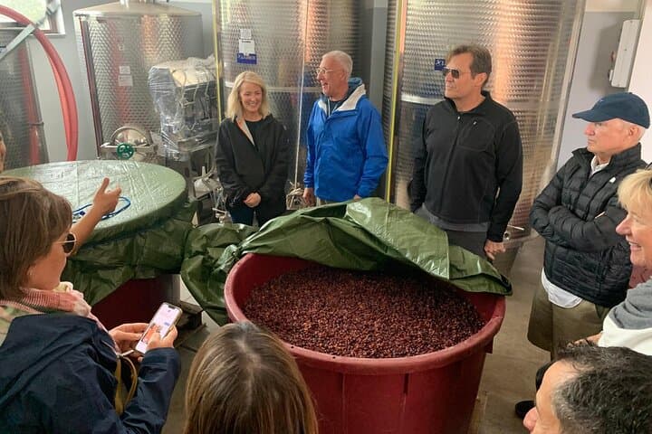 Private Wine Tasting Tour, Taormina and Messina from Messina