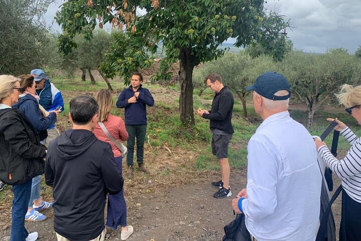 Private Wine Tasting Tour, Taormina and Messina from Messina