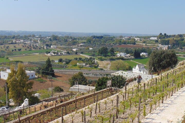 Itria Valley Panorama