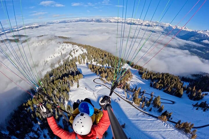 Flight in winter