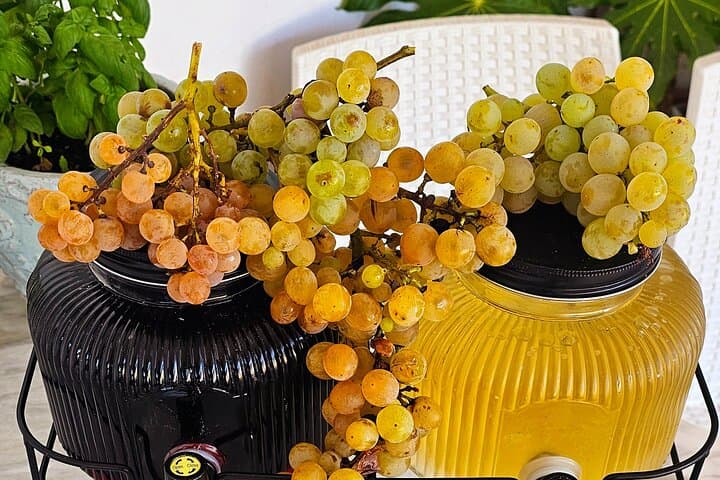 Sorrento Coast: 100% Hands-On Pizza & Pasta Cooking Experience
