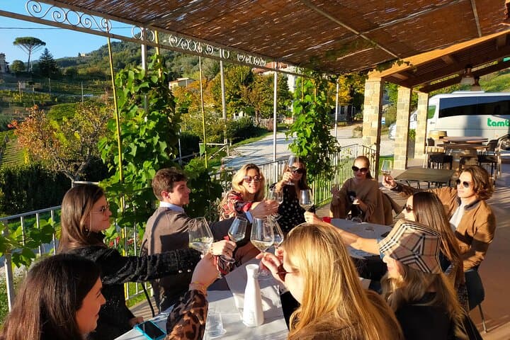 Light lunch and wine tasting in the hills of Lucca with sommelier