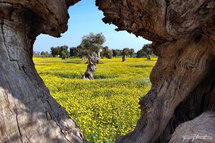 3 Days Puglia Tour with Accommodation