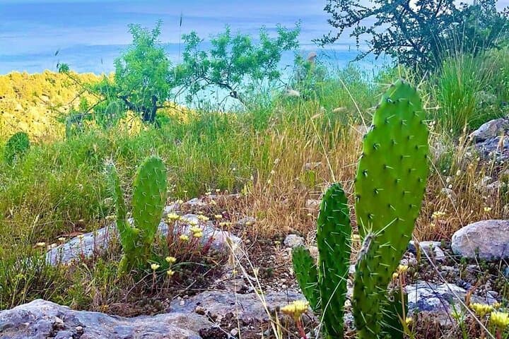 3 Days Puglia Tour with Accommodation