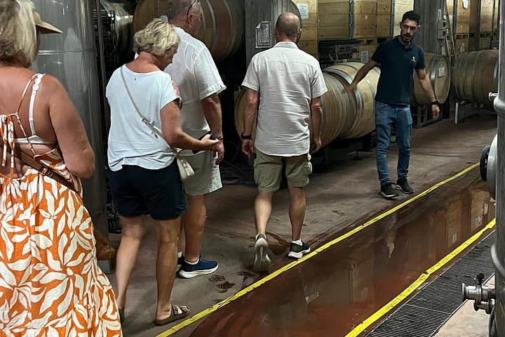 Catania: Etna Wine Tour and Culinary Experience
