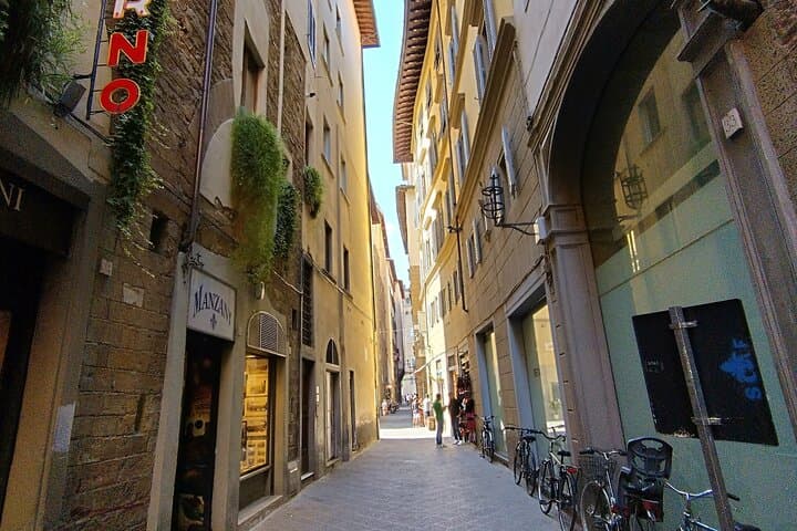 Art, Medicis and Renaissance. Explore Florence with Vincenzo