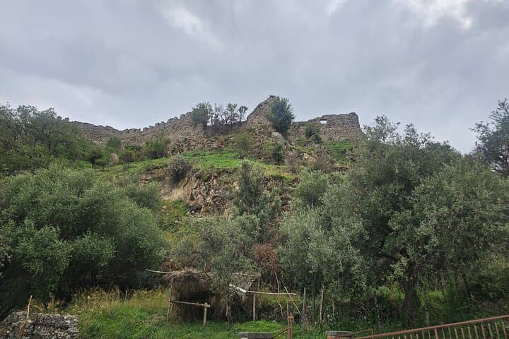 Research Your Ancestors in Sicily from Cruise Terminal of Messina