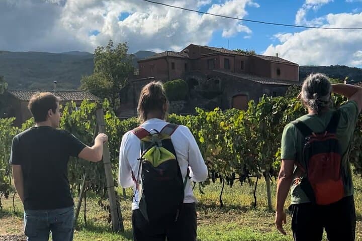 Private Etna Tour and 200 Years Old Winery Visit with Lunch