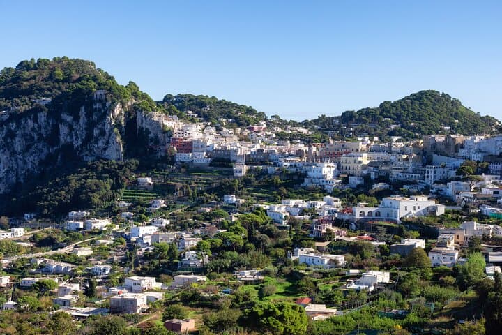 Capri Island Private Tour From Rome