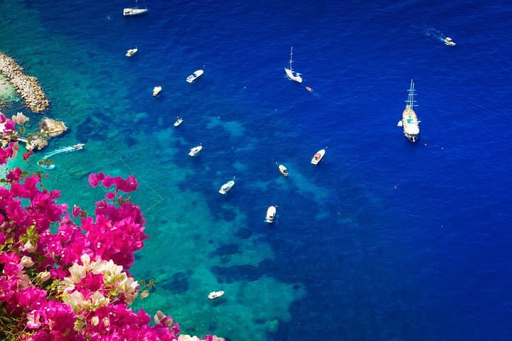 Capri Island Private Tour From Rome