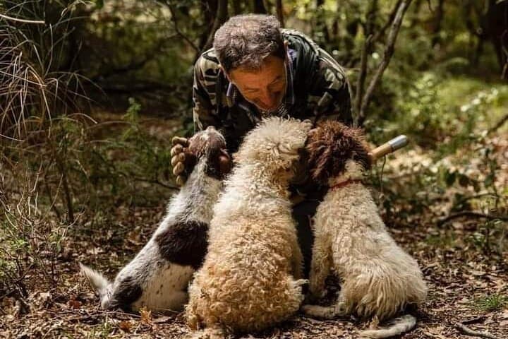 Hunting for the Truffle