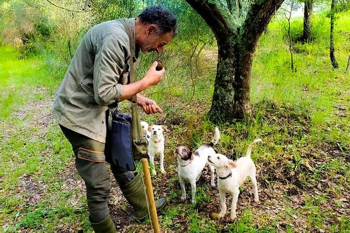 Hunting for the Truffle
