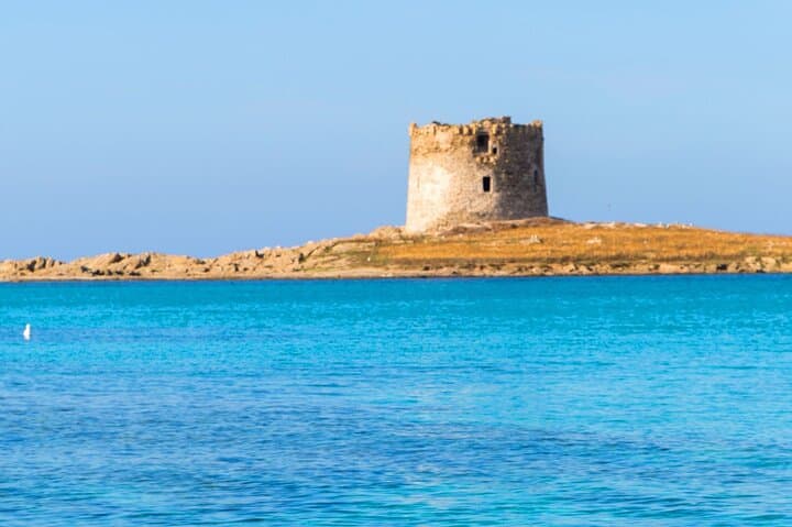 From Stintino: 3-hour catamaran tour with aperitif off La Pelosa