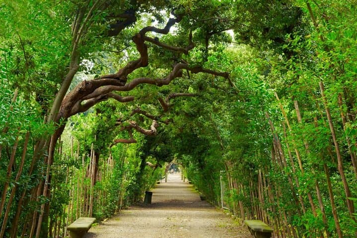 Pitti Palace and Boboli Garden Guided Tour