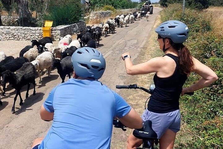 Lecce to Galatina E-Bike: Olive Mill & Wine Tasting + Taxi back