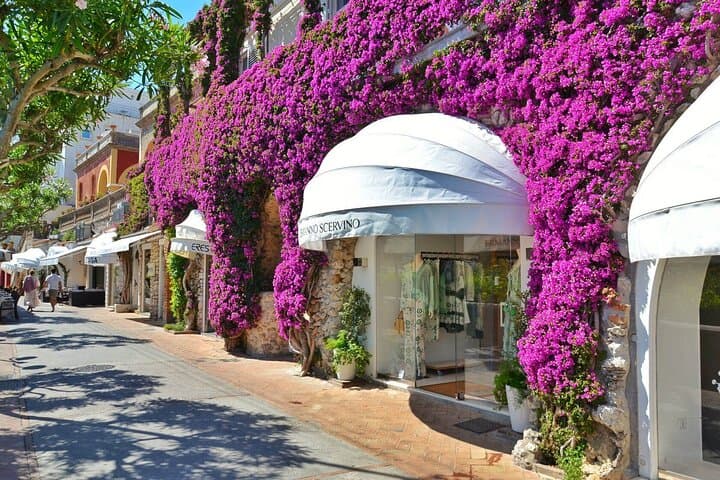 Day Trip from Rome: Capri and Anacapri in a Small Group