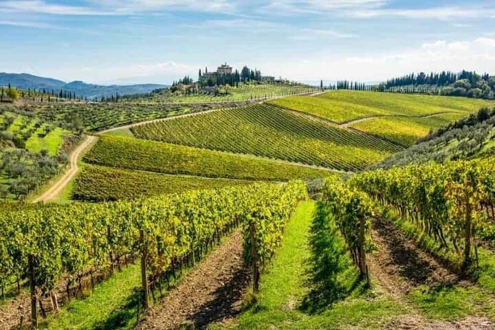 From Rome: Tuscany, Siena and San Gimignano with Tasting