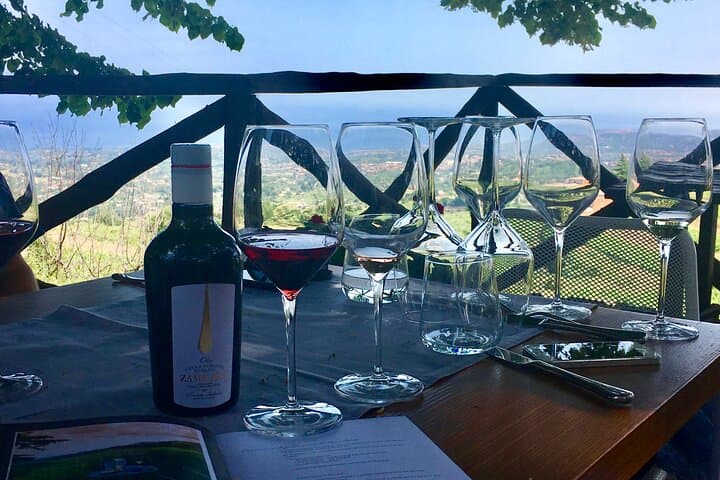 Mt Etna and Winery Lunch Big Day Out Tour - 3 people minimum